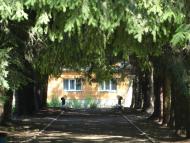 Сильне з panoramio.com