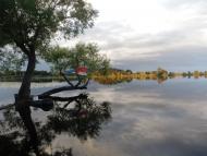 Омит з panoramio.com