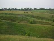 Заможнє з panoramio.com