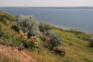 Пшонянове з panoramio.com
