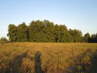 Валуйське з panoramio.com