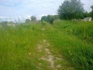 Саранчуки з panoramio.com