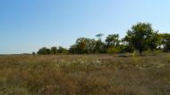 Меліоративне з panoramio.com - Мелиоративное