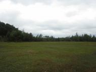 Вирка з panoramio.com