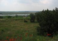 Тельмана з panoramio.com