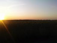 Тишківка з panoramio.com