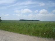 Черепова з panoramio.com