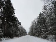 Бодячів з panoramio.com