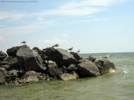 Обрив з panoramio.com