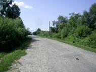 Пліщин з panoramio.com