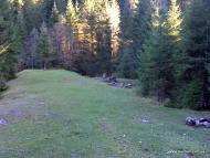 Бистриця з panoramio.com