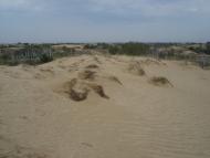 Подо-Калинівка з panoramio.com