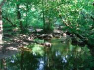 Воробіївка з panoramio.com