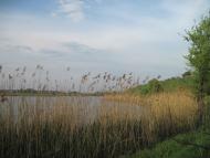 Радочини з panoramio.com