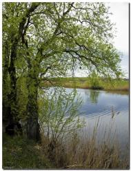 Сергіївка з panoramio.com