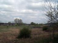 Тарасенки з panoramio.com - Тарасенки