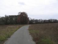 Язвинка з panoramio.com