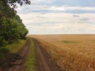 Ганнівка з panoramio.com