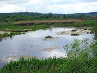 Тростянець з panoramio.com