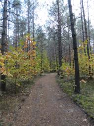 Дідовичі з panoramio.com