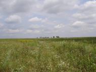 Остроушки з panoramio.com