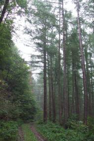 Раковець з panoramio.com