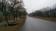 Меліоративне з panoramio.com - Мелиоративное