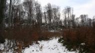 Ворочово з panoramio.com - Ворочево