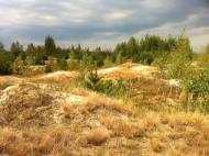 Берестянка з panoramio.com