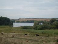 Жерденівка з panoramio.com