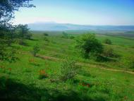 Лазарівка з panoramio.com