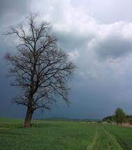 Ушня з panoramio.com