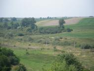 Бережне з panoramio.com