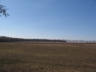 Малинівка з panoramio.com