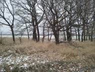 Миколаївка з panoramio.com