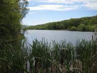 Сонячносілля з panoramio.com