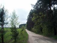 Вишняки з panoramio.com - Вишняки