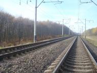 Рідкодуби з panoramio.com