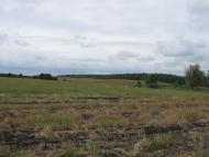 Кузьминці з panoramio.com