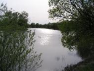 Новомутин з panoramio.com