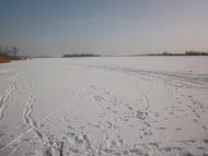 Куйбишеве з panoramio.com