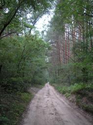 Кожухівка з panoramio.com