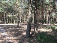 Щитинська Воля з panoramio.com