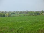 Заїченці з panoramio.com