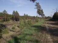 Ярова з panoramio.com