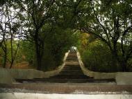 Широкине з panoramio.com