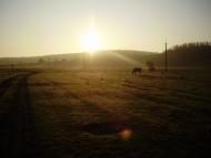 Козубівка з panoramio.com