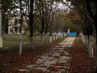 Широкине з panoramio.com