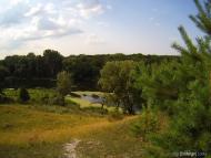 Стародубівка з panoramio.com