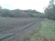 Змійове з panoramio.com